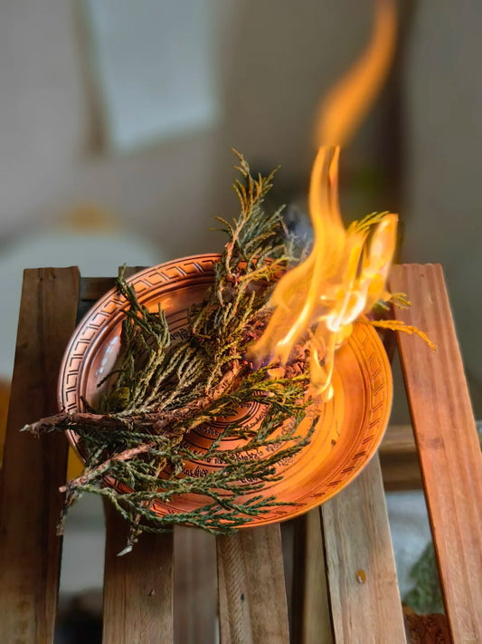 Advanced Cleansing Bundle