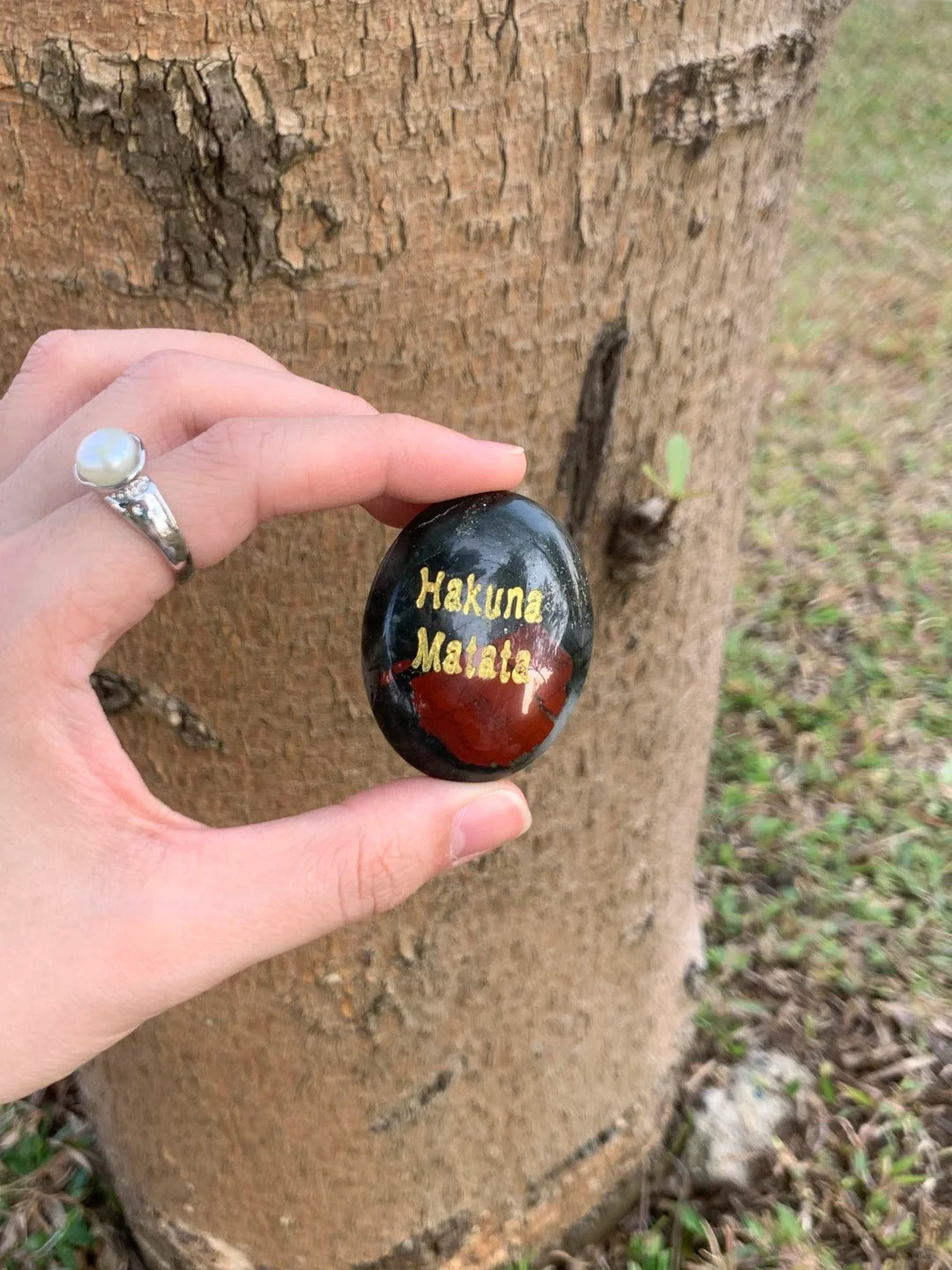 Hakuna Matata - Dragon Blood Jasper