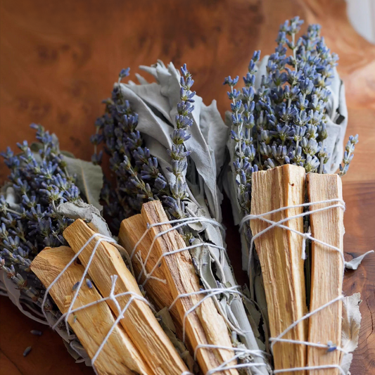 Find the Right Plant Energy for You: A Guide to Herbal Smudges