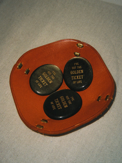 I’ve Got the Golden Ticket of Life – Gold Sheen Obsidian