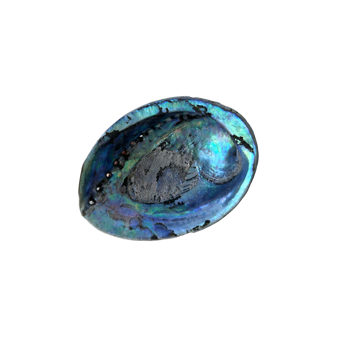Smudge Bowl - Pāua Shell