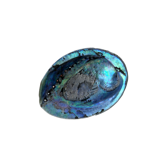 Smudge Bowl - Pāua Shell