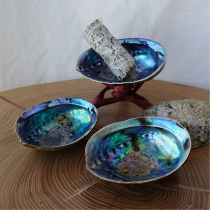 Smudge Bowl - Pāua Shell