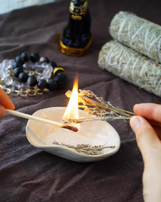 Cleansing Starter Bundle