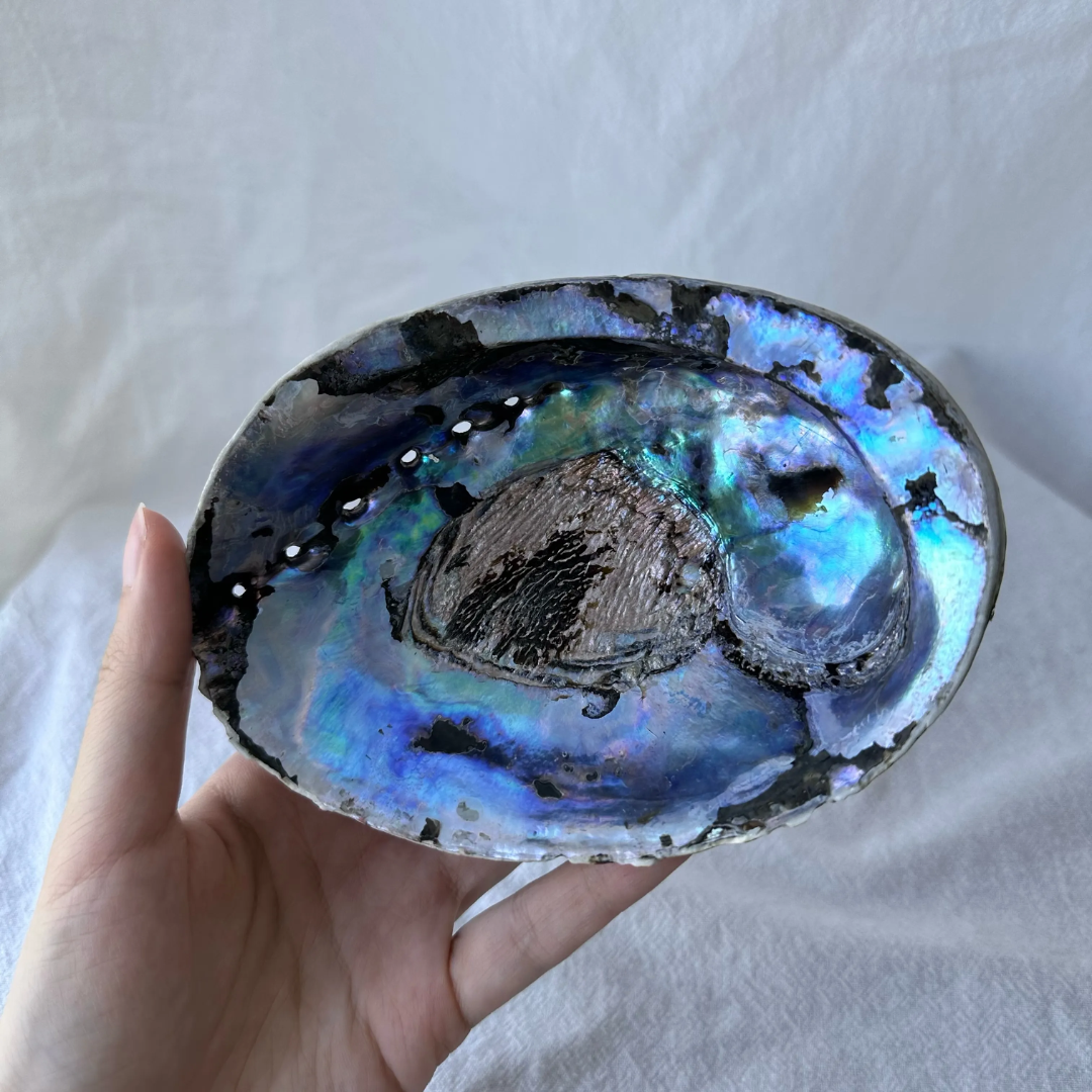 Smudge Bowl - Pāua Shell