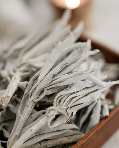 Cleansing Starter Bundle