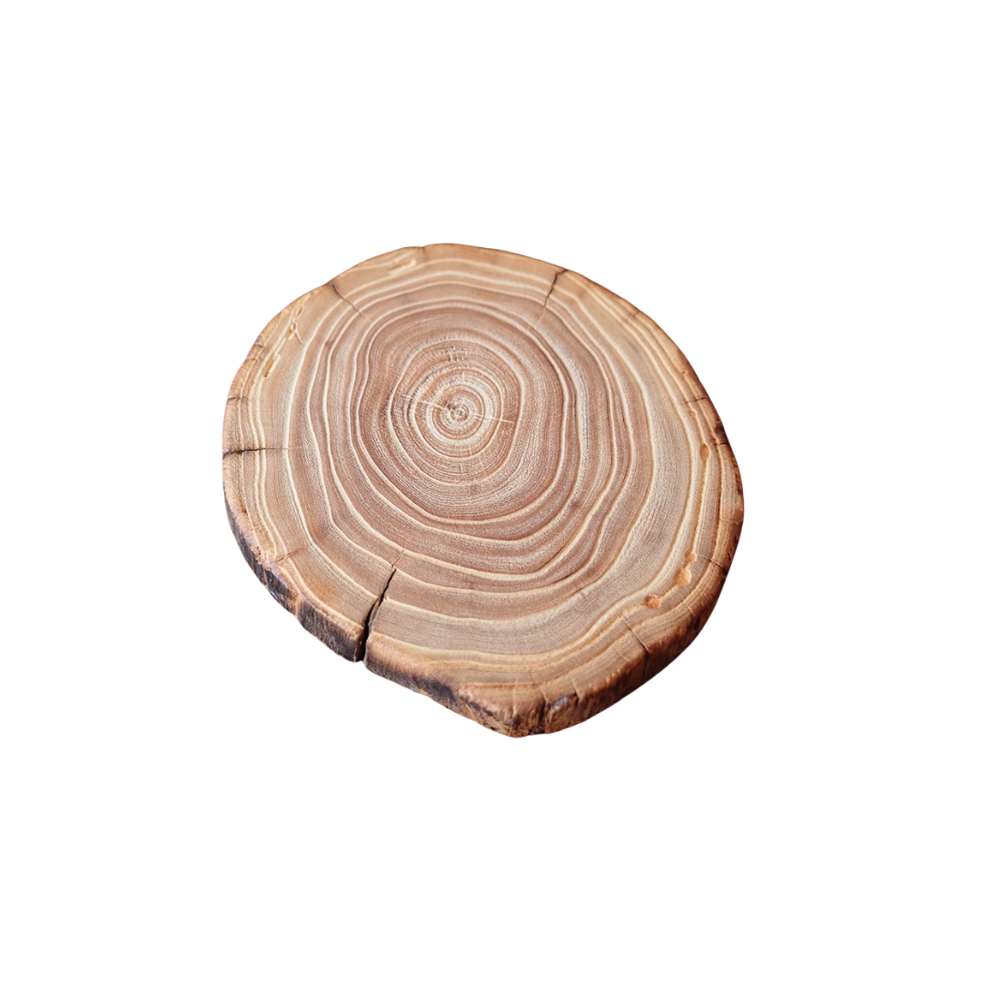 Elm Timber Base