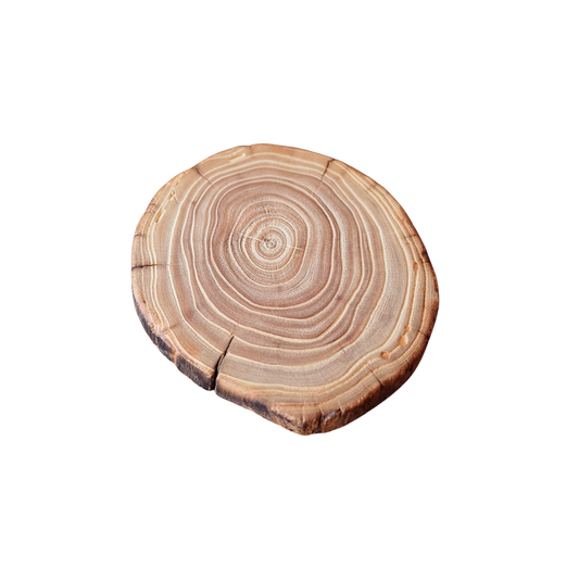Elm Timber Base