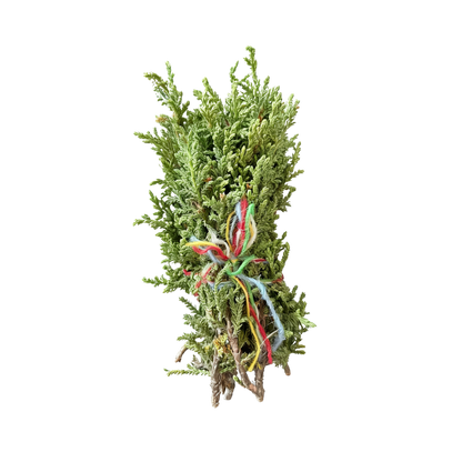 Himalayan Juniper Smudge Stick